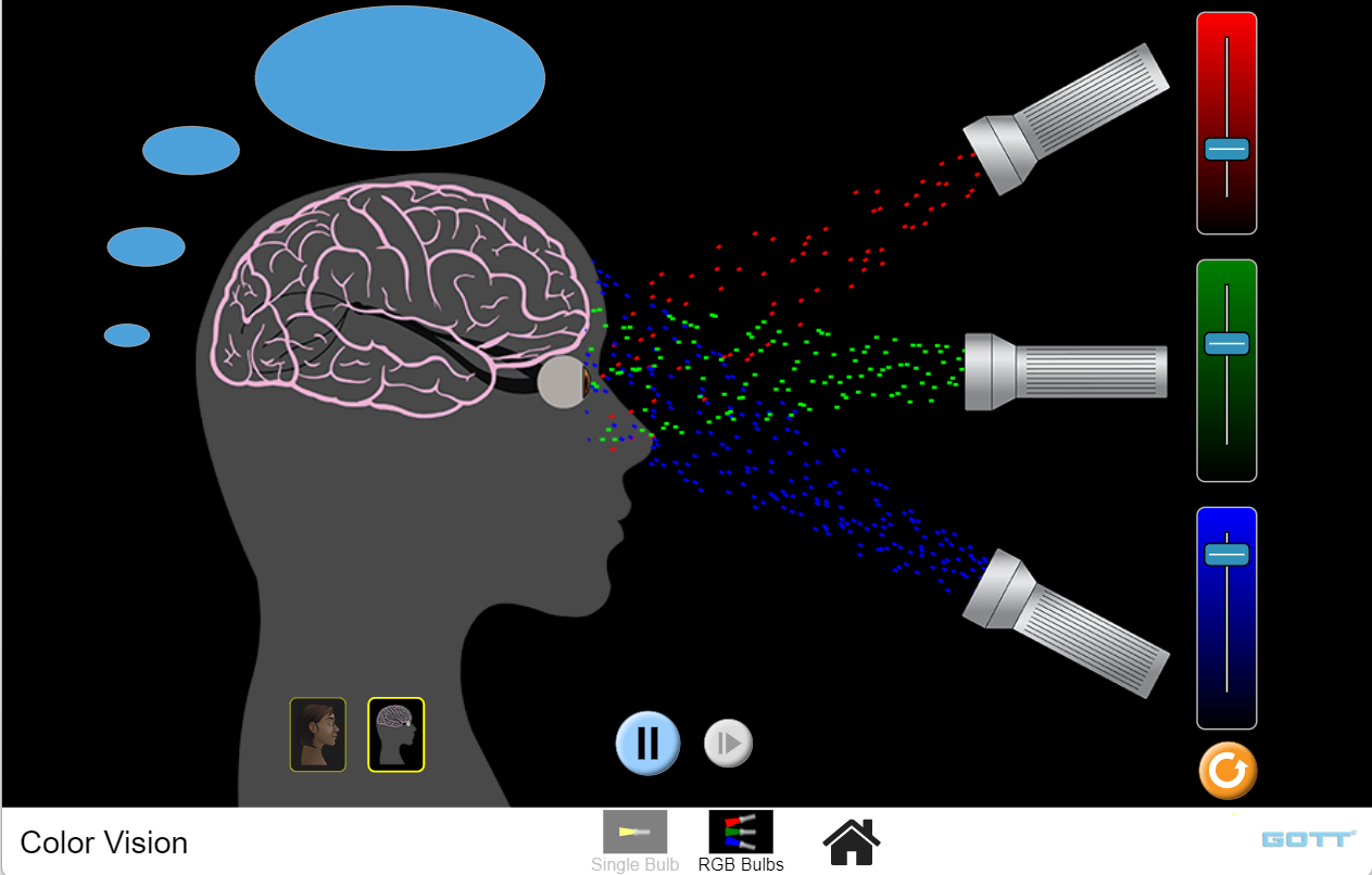 COLOR VISION